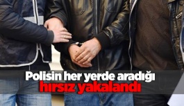 Polisin her yerde aradığı hırsız yakalandı