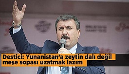 Destici: Yunanistan’a zeytin dalı değil meşe sopası uzatmak lazım