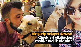 Ayrılan sevgililer köpeklerini paylaşamıyor!