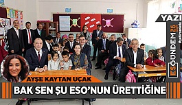 BAK SEN ŞU ESO’NUN ÜRETTİĞİNE