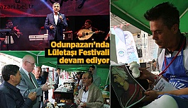 Festivalde 'termik santral' vurgusu