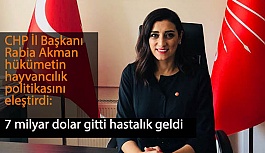 Rabia Akman “7 milyar dolar gitti, hastalık geldi”