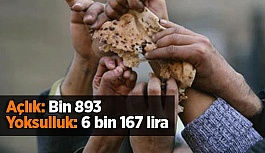 Türk  İş açlık ve yoksulluk sınırını açıkladı