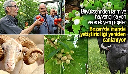 Büyükşehir’den Bozanlı çiftçiye damızlık manda desteği