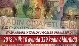 EMEP KARANLIK TABLOYU GÖZLER ÖNÜNE SERDİ