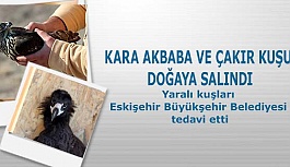 KARA AKBABA VE ÇAKIR KUŞU DOĞAYA SALINDI