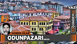 Odunpazarı