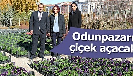 Park Bahçeler Müdürü Perk: Çiçek bahçesi gibi….