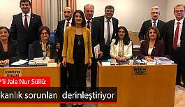 Süllü: Bakanlık sorunları çözmek yerine daha da derinleştiriyor