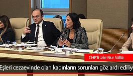 Süllü: Eşleri cezaevinde olan kadınların sorunları göz ardı ediliyor