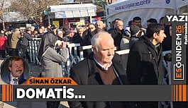 DOMATİS