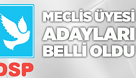 DSP'NİN MECLİS ÜYESİ ADAYLARI AÇIKLANDI