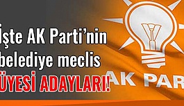 İŞTE AK PARTİ'NİN MECLİS ÜYESİ ADAYLARI