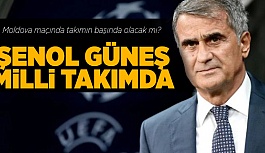 MİLLİ TAKIMDA ŞENOL GÜNEŞ DÖNEMİ