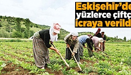 ESKİŞEHİR'DE ÇİFTÇİLER İCRALIK OLDU