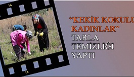 “KEKİK KOKULU KADINLAR” TARLA TEMİZLİĞİ YAPTI