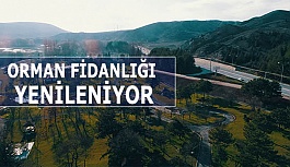 ORMAN FİDANLIĞI YENİLENİYOR