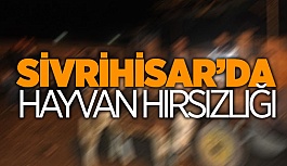 SİVRİHİSAR'DA HAYVAN HIRSIZLIĞI