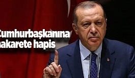 CUMHURBAŞKANINA HAKARETE HAPİS CEZASI