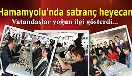 Hamamyolu'nda satranç turnuvası