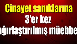 Eskişehir'de 3 kişinin öldürülmesine ilişkin davada mütalaa