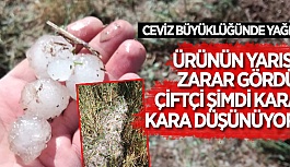 ESKİŞEHİR'DE DOLU ÇİFTÇİYİ VURDU