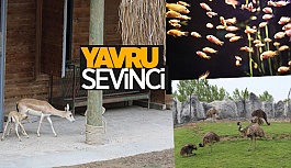 ESKİŞEHİR HAYVANAT BAHÇESİ’NDE YAVRU SEVİNCİ