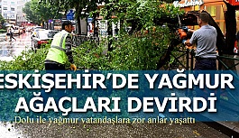 ESKİŞEHİR’DE YAĞMUR AĞAÇLARI DEVİRDİ