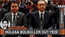 HÜLASA BÜLBÜLLER DUT YEDİ