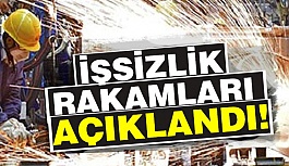 İŞSİZLİK RAKAMLARI AÇIKLANDI!  ARTIŞ VAR