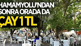 TARİHİ BÖLGEDE DE ÇAY 1 TL