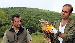 BEŞ KUŞ DAHA DOĞAL ORTAMINA DÖNDÜ