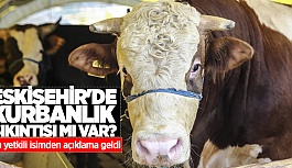 ESKİŞEHİR'DE KURBANLIK SIKINTISI MI VAR?