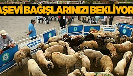 ODUNPAZARI KURBAN BAĞIŞLARINI BEKLİYOR