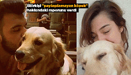 PAYLAŞILMAYAN KÖPEK HAKKINDA KARAR VERİLDİ