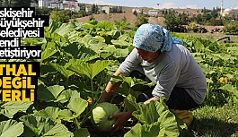 YEREL TOHUMLAR ESKİŞEHİR’DE CAN BULUYOR