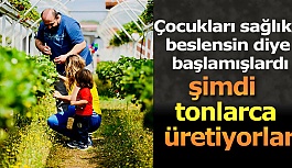 Çocukları için organik çilek ürettikleri bahçe geçim kaynakları oldu