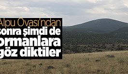 Eskişehir’de 31 bin hektarlık alanda yüzbinlerce ağaç katledilecek