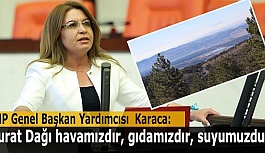 Gülizar Biçer Karaca: Birçok şehrin kaderini belirlenecek