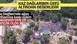 Kaz Dağları'nda ağaç katliamına karşı eylem