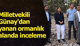 Milletvekili Günay'dan yanan ormanlık alanda inceleme