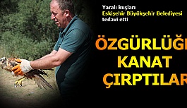 ÖZGÜRLÜĞE KANAT ÇIRPTILAR