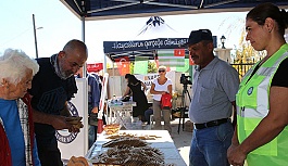 BÜYÜKŞEHİR’İN TOHUMLARI FESTİVALDE  BÜYÜK İLGİ GÖRDÜ