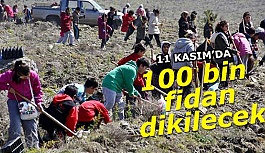 Fidan Dikiminde Rekor Kırılacak