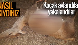 KAÇAK AVLANANLAR YAKALANDI