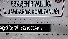 Eskişehir'de tarihi eser operasyonu