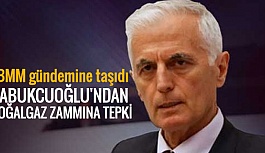 KABUKCUOĞLU'NDAN DOĞALGAZ ZAMMINA TEPKİ