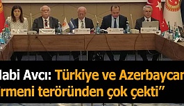 Nabi Avcı: Türkiye ve Azerbaycan, Ermeni Teröründen çok çekti