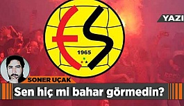 Sen hiç mi bahar görmedin?