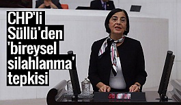 Süllü: Silah yasasındaki değişiklik, ‘bireysel silahlanma’yı arttırır